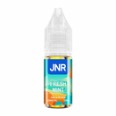 JNR - Fresh Mint Nic Salts - 10ml 20mg
